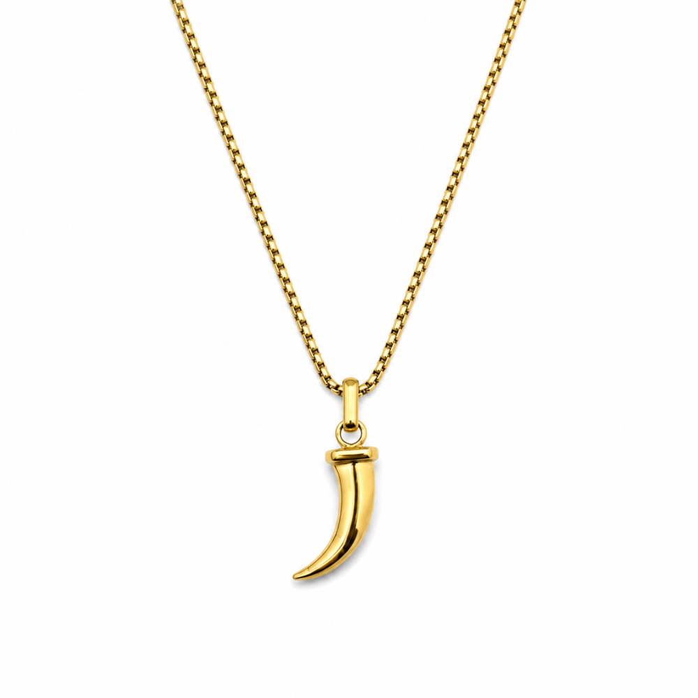 Colar Masculino Dente Dourado ou Prateado