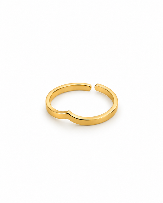 Anel Simples Dourado