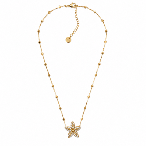 Colar Estrela Brilhantes Dourado ou Prateado
