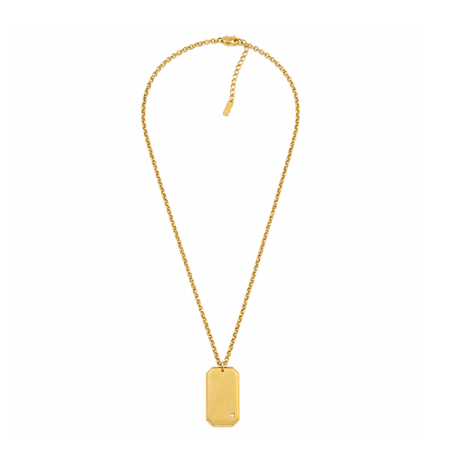 Colar Masculino Medalha Dourado ou Prateado