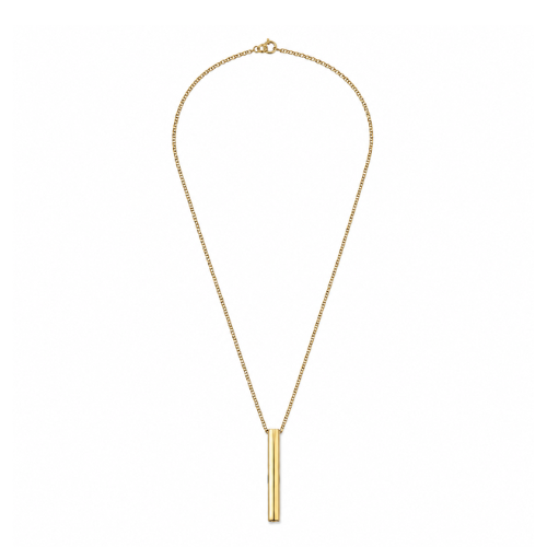 Colar Masculino Pendente Dourado ou Prateado