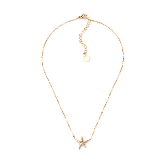Colar Estrela do Mar Dourado ou Prateado