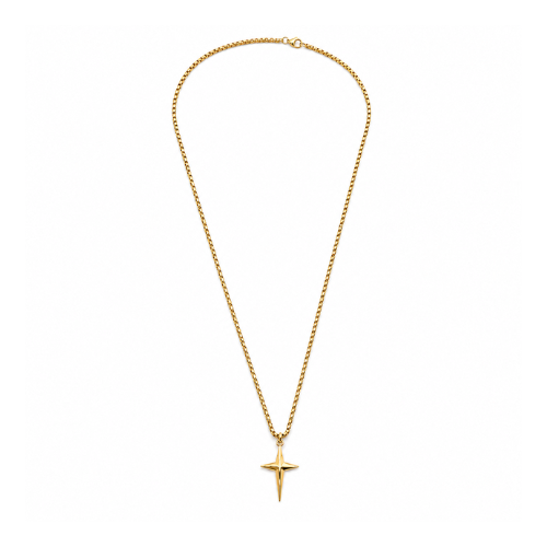 Colar Masculino Estrela Dourado ou Prateado