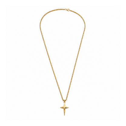 Colar Masculino Estrela Dourado ou Prateado