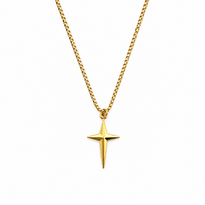 Colar Masculino Estrela Dourado ou Prateado