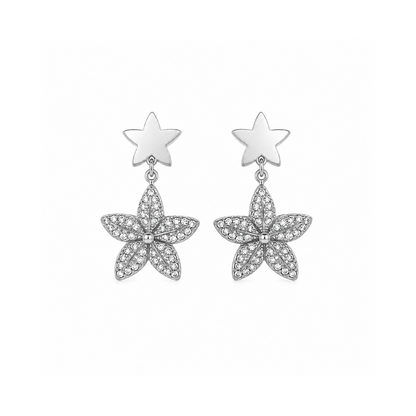 Brincos Estrela Brilhantes Dourado ou Prateado