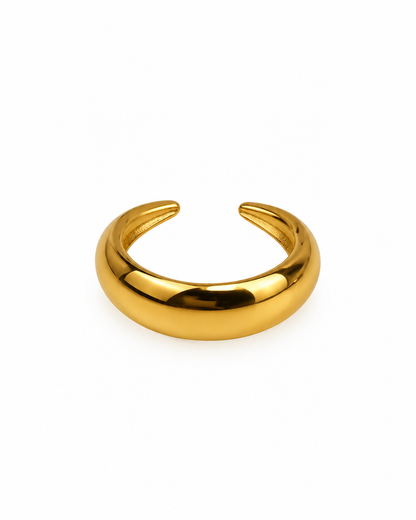 Anel Liso Arredondado Dourado ou Prateado