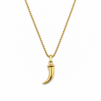 Colar Masculino Dente Dourado ou Prateado