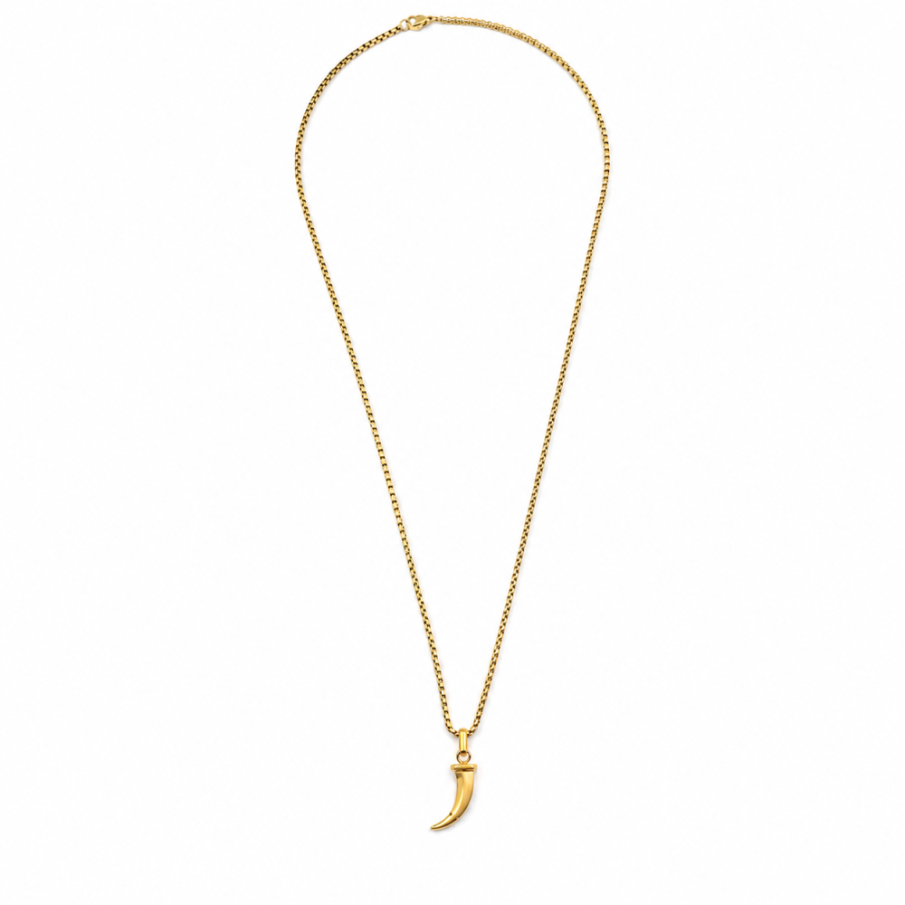 Colar Masculino Dente Dourado ou Prateado