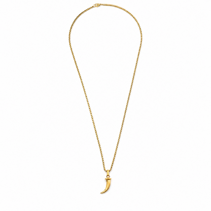 Colar Masculino Dente Dourado ou Prateado
