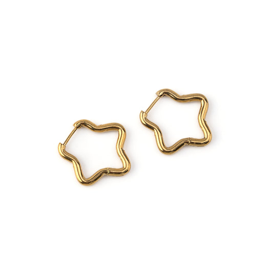 Brincos Estrela Dourado ou Prateado