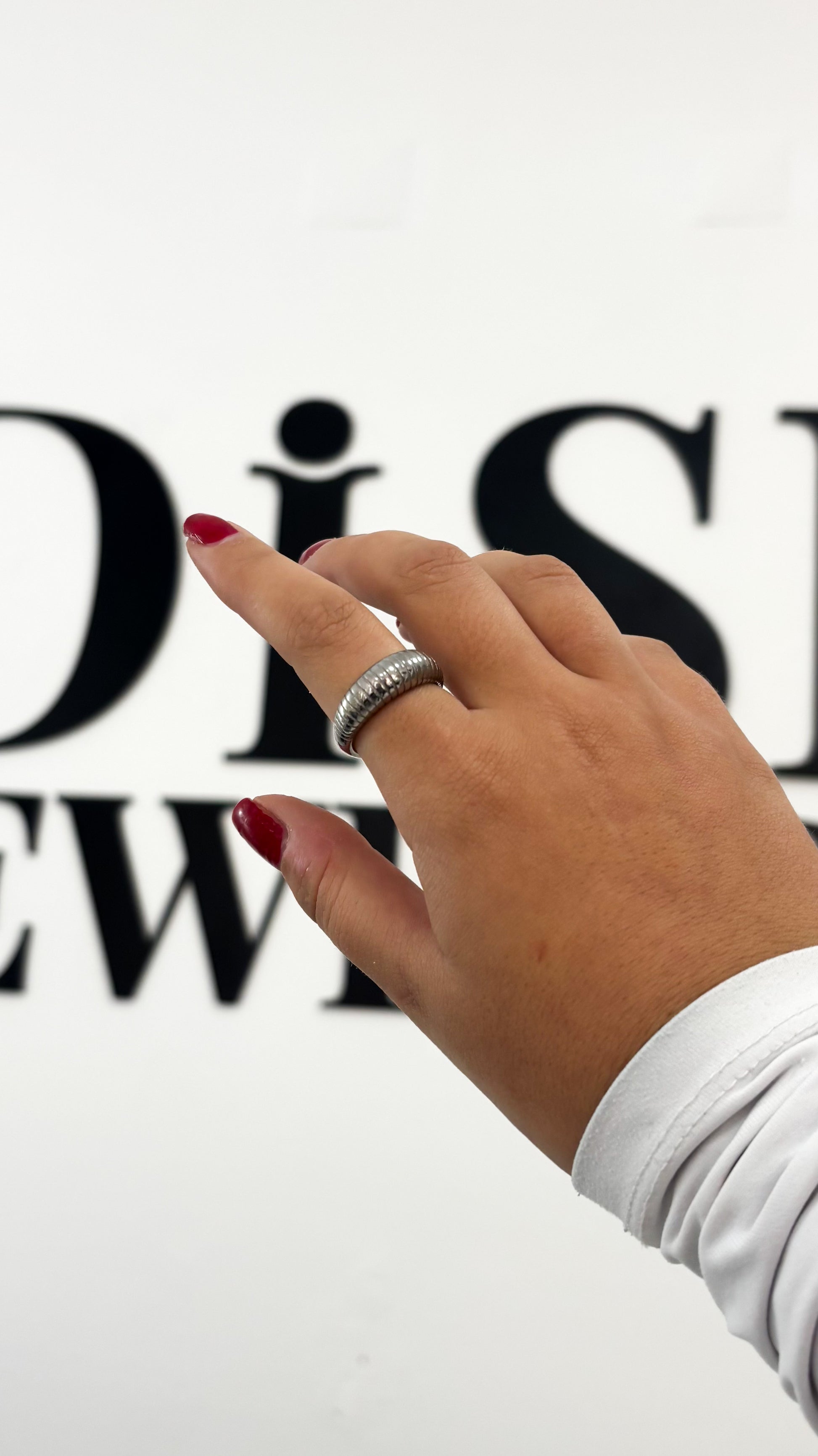 anel numerado prateado aço inox 316l