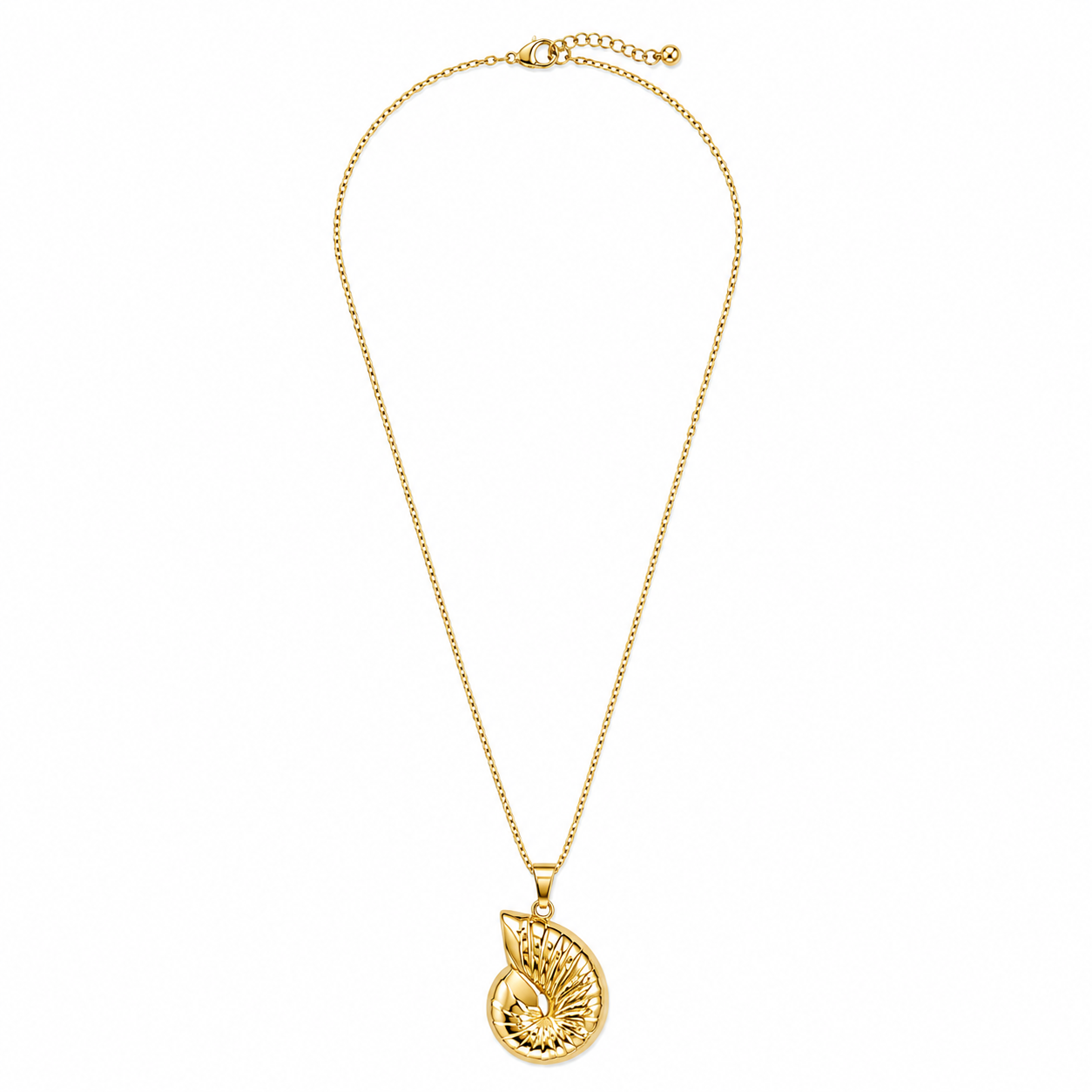 Colar Concha Dourado ou Prateado