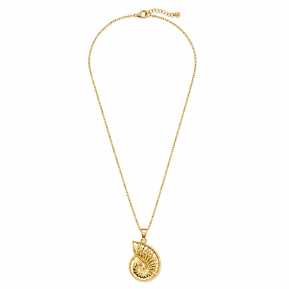 Colar Concha Dourado ou Prateado