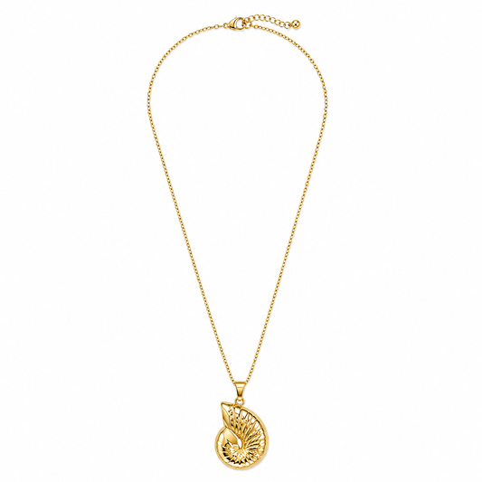 Colar Concha Dourado ou Prateado