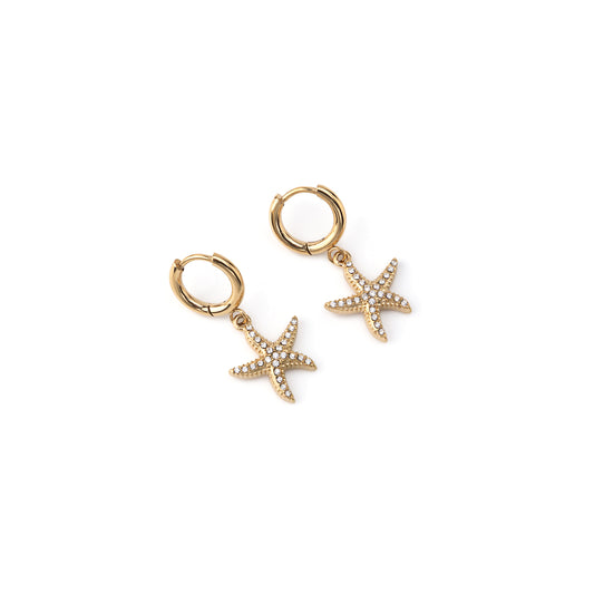 Brincos Estrela do Mar Dourado ou Prateado