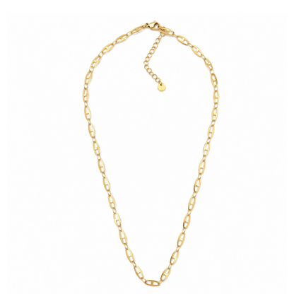 Colar Masculino Corrente Dourado ou Prateado