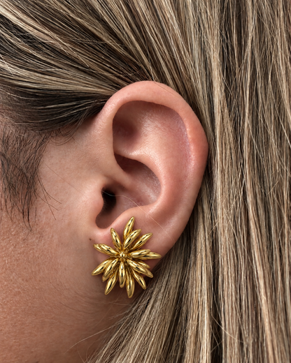 Brincos Flor Dourado ou Prateado