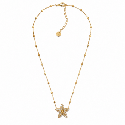 Colar Estrela Brilhantes Dourado ou Prateado