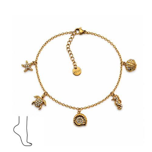Pulseira de Pé Concha Dourado ou Prateado