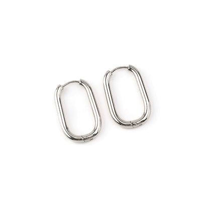 Brincos Oval Dourado ou Prateado