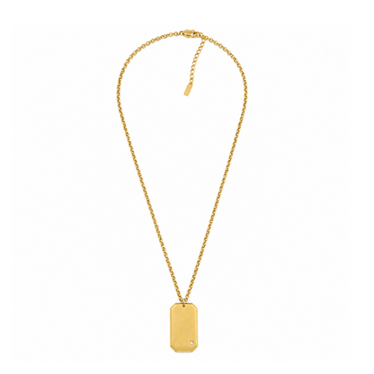 Colar Masculino Medalha Dourado ou Prateado