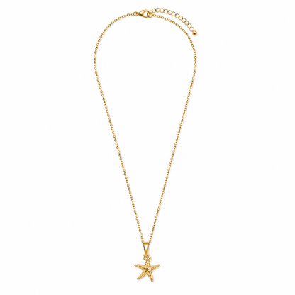 Colar Estrela do Mar Dourado ou Prateado