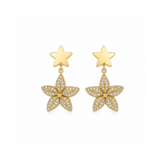 Brincos Estrela Brilhantes Dourado ou Prateado