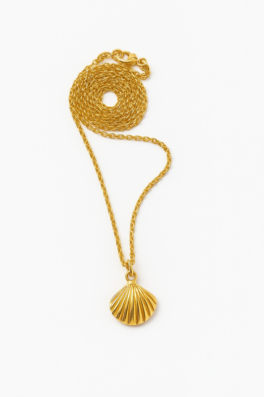 Colar Concha | Dourado | Aço Inoxidável