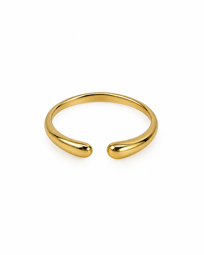 Anel Simples Dourado ou Prateado