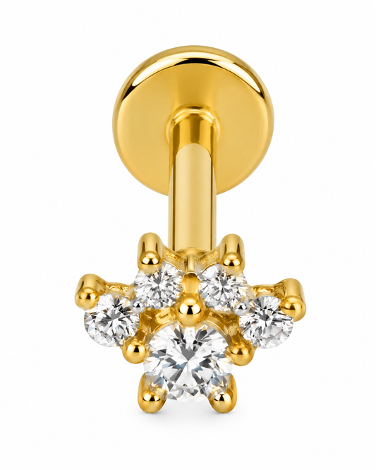 Piercing Patinha Dourado ou Prateado