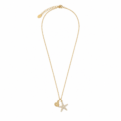 Colar Estrela do Mar e Concha Dourado ou Prateado