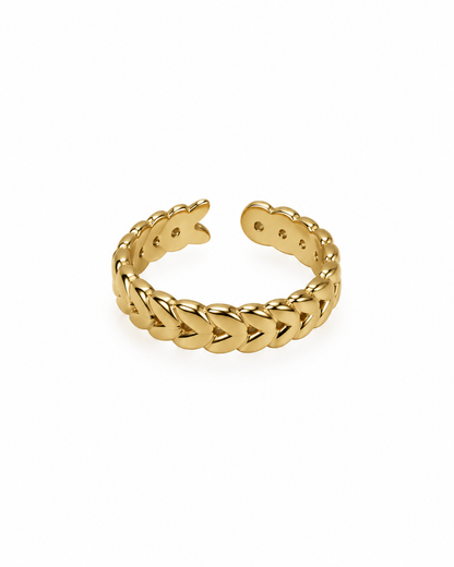Anel Entrelaçado Dourado ou Prateado