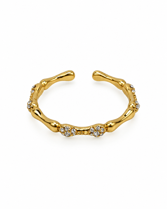 Anel Bambu Brilhantes Dourado ou Prateado