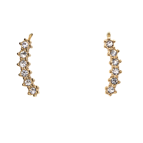 Brincos Trepadeira Dourado ou Prateado