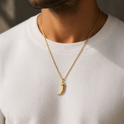 Colar Masculino Dente Dourado ou Prateado