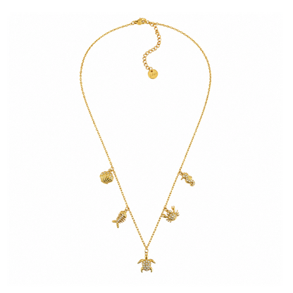 Colar Tartaruga Dourado ou Prateado