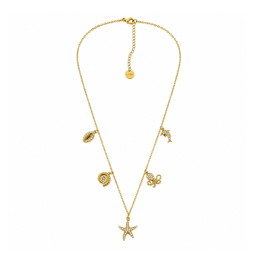 Colar Estrela do Mar Dourado ou Prateado