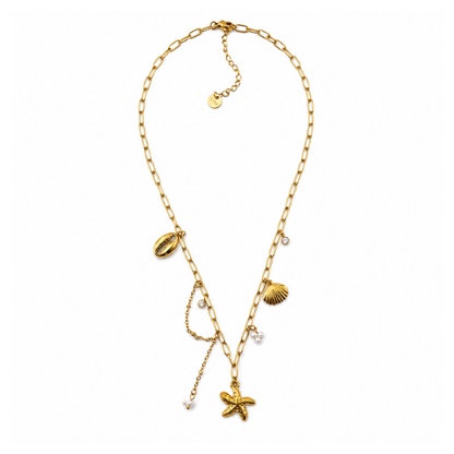 Colar Estrela do Mar Dourado ou Prateado