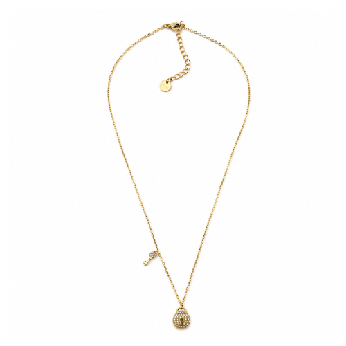 Colar Cadeados Dourado ou Prateado